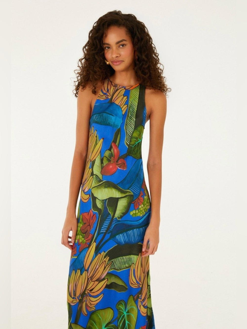 FARM Rio High-Neck Blue Banana Grapes Sleeveless Maxi Dress Size Medium NWT